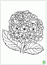 Flowers-coloringPage-072